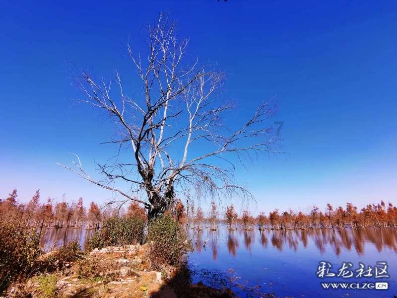 探索建筑石膏的诗句有哪些?:知识星球平台,一站式学习互动社区